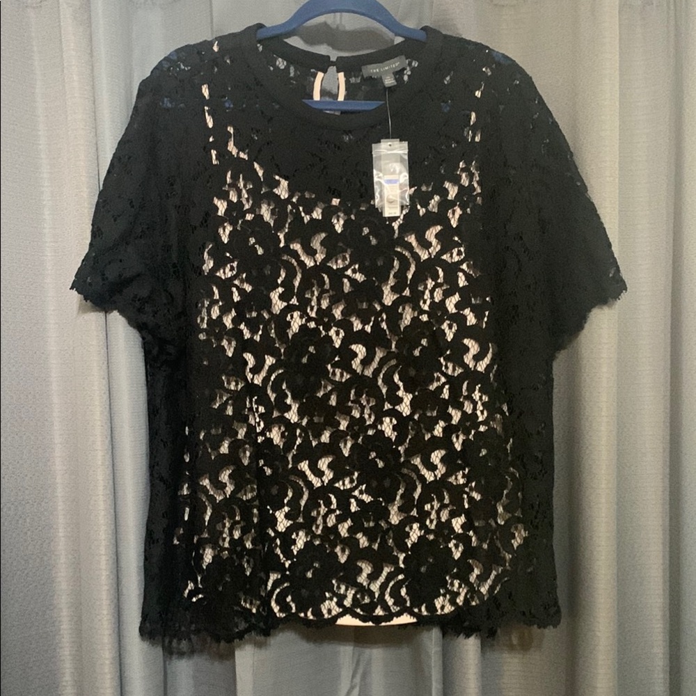 The Limited Black and Cream Lace Blouse with Peter Pan Collar